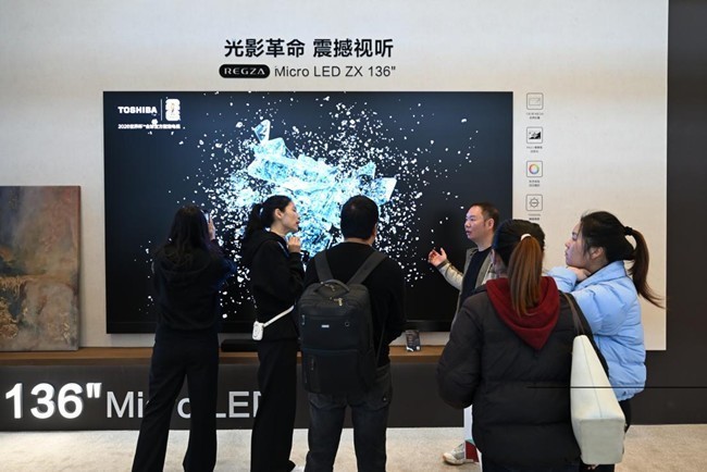 ��֥����ͬԴREGZAϵ����RGB Mini LED��������רҵ�����¾���